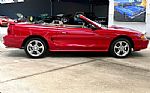 1997 Mustang Thumbnail 5
