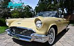 1957 Thunderbird Thumbnail 44