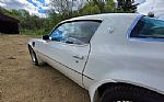 1976 Firebird Trans Am Thumbnail 45