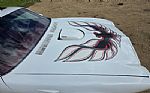 1976 Firebird Trans Am Thumbnail 55