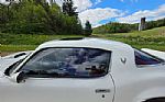 1976 Firebird Trans Am Thumbnail 74