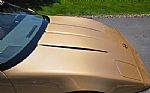 1984 Corvette Thumbnail 59