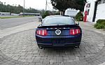 2010 Mustang Shelby Thumbnail 10