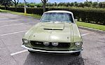 1967 Shelby GT350 Thumbnail 26