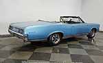 1967 GTO Convertible Thumbnail 13