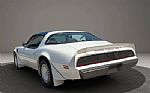 1980 Trans Am Thumbnail 5