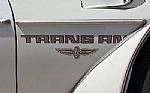 1980 Trans Am Thumbnail 63
