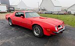 1974 Trans Am Thumbnail 2