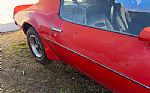 1974 Trans Am Thumbnail 9