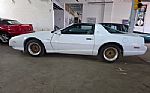 1991 Firebird Thumbnail 33