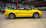 1998 Mustang SVT Cobra Convertible Thumbnail 10