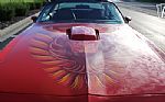 1979 Trans Am Thumbnail 8