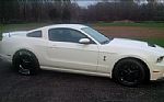 2013 Shelby Thumbnail 3