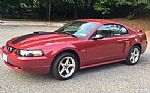2003 Mustang Thumbnail 5
