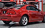 2003 Mustang Thumbnail 8