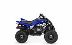 2022 Yamaha Raptor