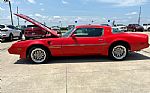 1979 Trans Am Thumbnail 4