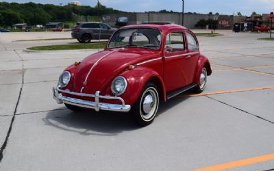 Photo of a 1965 Volkswagen Beetle for sale