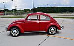 1965 Beetle Thumbnail 7