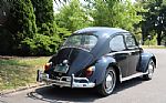 1963 Beetle Thumbnail 5