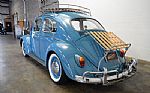 1963 Beetle Thumbnail 4