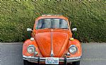 1972 Beetle Thumbnail 1