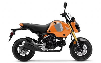 Photo of a 2024 Honda Grom Base for sale
