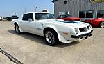 1974 Trans Am Thumbnail 2