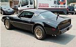 1979 Trans AM Bandit Thumbnail 84