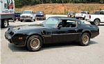 1979 Trans AM Bandit Thumbnail 94