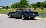 1978 Trans Am Thumbnail 2