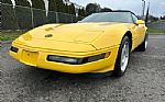 1992 Corvette Thumbnail 9
