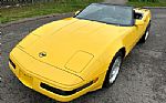 1992 Corvette Thumbnail 18