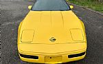 1992 Corvette Thumbnail 19