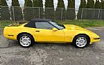 1992 Corvette Thumbnail 29